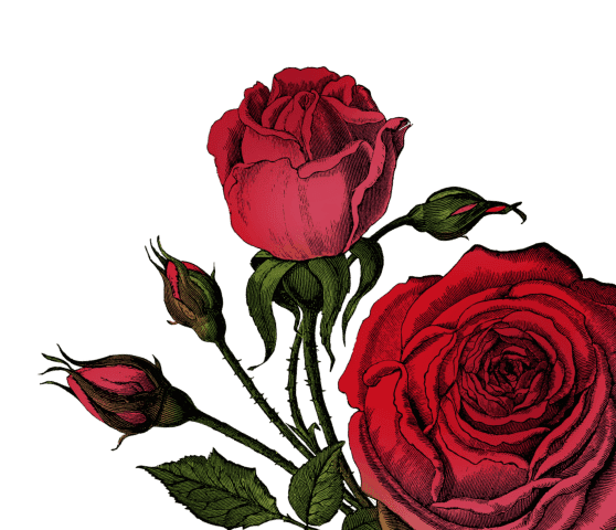 Hendricks Rosen
